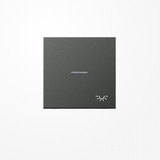 Jung AL2990KO5LAN Wippe mit Lichtleiter, Symbol Licht, Aluminium lackiert, Serie LS, anthrazit