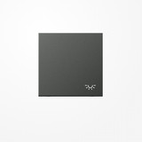 Jung AL2990LAN Wippe, Symbol Licht, Aluminium lackiert, Serie LS, anthrazit
