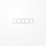 Jung AS5850BFINAWW Rahmen 5fach, mit Fenster (sprühnebeldicht), waagerechte Montage, Thermoplast, AS 500, alpinweiß