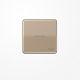 Jung CD590KO5LGB Wippe mit Lichtleiter, Symbol Licht, Aluminium eloxiert, Serie CD, gold-bronze