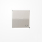 Jung CD590KO5LPT Wippe mit Lichtleiter, Symbol Licht, Aluminium eloxiert, Serie CD, platin