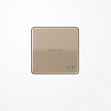 Jung CD590KO5TGB Wippe mit Lichtleiter, Symbol Tür, Aluminium eloxiert, Serie CD, gold-bronze
