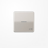 Jung CD590KO5TPT Wippe mit Lichtleiter, Symbol Tür, Aluminium eloxiert, Serie CD, platin