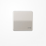 Jung CD590TPT Wippe, Symbol Tür, Aluminium eloxiert, Serie CD, platin