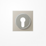 Jung ES2928 Abdeckung für Schlüsselschalter mit Demontageschutz, Serie LS, Edelstahl