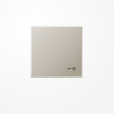 Jung ES2990T Wippe, Symbol Tür, Serie LS, Edelstahl