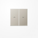 Jung ES2995P Wippe, mit Pfeilsymbolen, Serie LS, Edelstahl