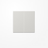 Jung LS102LG Wippe für Taster 2fach, Duroplast, F10, Serie LS, lichtgrau