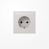 Jung LS1520NALG SCHUKO-Steckdose, 16 A 250 V ~, mit Schriftfeld, Duroplast, Serie LS, lichtgrau