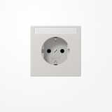 Jung LS1520NKINALG SCHUKO-Steckdose, 16 A 250 V ~, ohne Krallen, mit Schriftfeld, SAFETY+, Duroplast, Serie LS, lichtgrau