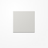 Jung LS1700LG LB-Management Taster 1fach, Duroplast, Serie LS, lichtgrau