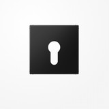 Jung LS925SWM Abdeckung für Schlüsselschalter ohne Demontageschutz, Thermoplast lackiert, Serie LS, graphitschwarz matt