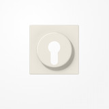 Jung LS928 Abdeckung für Schlüsselschalter mit Demontageschutz, Thermoplast, Serie LS, weiß