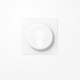 Jung LS928WWM Abdeckung für Schlüsselschalter mit Demontageschutz, Thermoplast lackiert, Serie LS, schneeweiß matt