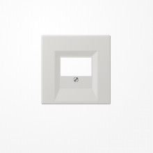 Jung LS969TLG Abdeckung für TAE-Anschlussdosen 1fach, Thermoplast, Serie LS, lichtgrau