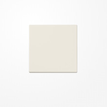 Jung LS990 Wippe, Duroplast, Serie LS, weiß