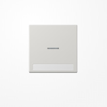 Jung LS990NAKO5LG Wippe mit Lichtleiter, mit Schriftfeld, Duroplast, Serie LS, lichtgrau