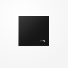 Jung LS990TSWM Wippe, Symbol Tür, Duroplast lackiert, Serie LS, graphitschwarz matt