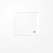 Jung LS990TWW Wippe, Symbol Tür, Duroplast, Serie LS, alpinweiß