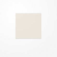 Jung LS994B Blind-Abdeckung (gerastet), Thermoplast, Serie LS, weiß