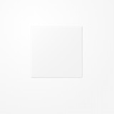 Jung LS994BWWMPL Blind-Abdeckung (gerastet) Zentralplatte, Thermoplast lackiert, Serie LS, schneeweiß matt