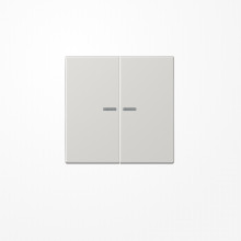 Jung LS995KO5LG Wippe mit Lichtleiter, Duroplast, Serie LS, lichtgrau