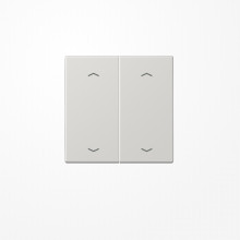 Jung LS995MPLG Wippe, mit 4 Pfeilsymbolen, Duroplast, Serie LS, lichtgrau