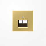 Jung ME2969-2UAC Abdeckung für IAE/UAE-Anschlussdosen 2x8-polig, Messing, Serie LS, Messing classic