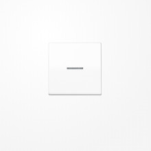 Jung SPAS591KO5WW Wippe mit Lichtleiter, Duroplast antimikrobiell, Serie AS, alpinweiß