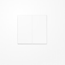 Jung SPLS102WW Wippe für Taster 2fach, Duroplast antimikrobiell, F10, Serie LS, alpinweiß