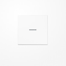 Jung SPLS990KO5WW Wippe mit Lichtleiter, Duroplast antimikrobiell, Serie LS, alpinweiß