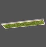 JUST LIGHT GERDA KNUT LED Deckenleuchte Warmweiss Dimmbar 25W moos 15623-66