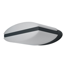 Ledvance Endura Style Ellipse 13W LED Wandleuchte Unten+Oben 4058075205079