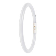 LEDVANCE LED LED T5 FC EXTERNAL P 11.6W 830 2GX13 Dimmbar Warm weiß 4099854300806