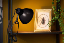 Lucide MOYS Klemmleuchte E27 360° drehbar Schwarz 45987/01/30