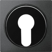 Merten 318114 Zentralplatte für Wechsel-Rastschalter-Einsatz, anthrazit, System M