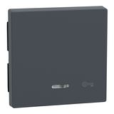 Merten 430714 Wippe mit Kontrollfenster und Aufdruck Schlüssel, anthrazit, System M