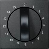 Merten 539014 Zentralplatte für Zeitschalter-Einsatz 15 min, anthrazit, System M