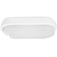 Müller Licht LED Wand- und Deckenleuchte Ipsum Sensor 20300536