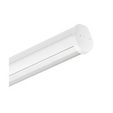 Philips LED Lichtband-Geräteträger Maxos Performer 147,9cm 50,2W 7500lm Neutralweiss 4000K DALI klar Weiß 4030732668007