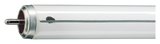 Philips Lampe TL-X XL 40W/33-640 SLV/25 2300lm