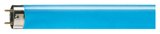 Philips Lampe TL-D Colored 58W Blue 1SL/25 1600lm