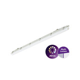 Philips LED Feuchtraumleuchte Ledinaire WT065C 150cm 30-53W 4100-6800lm Neutralweiss 4000K IP65 durchverdrahtbar 8720169500228