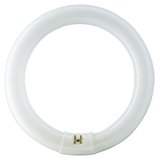 Philips UV-Ringlampe TL-E 22W/840 1CT/12 1285lm neutralweiss 4000K