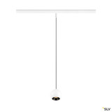 SLV 1010461 LIGHT EYE® 2.0, 48V Pendelleuchte, DALI, Pendellänge 200 cm, 2700K, 30°, weiß / schwarz