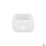 SLV 1010508 P-LIGHT, Deckenaufbauleuchte, quadratisch, 6000K, 1.2 W, weiß