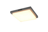 Trio 630369242 Bermejo LED Deckenleuchte 14W Anthrazit IP54 CCT einstellbare Lichtfarbe