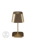 Villeroy & Boch NEAPEL RC Akku-Tischlampe Gold Gebürstet 2,2W steuerbare Lichtfarbe IP65 97229